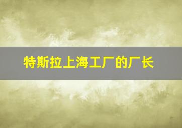 特斯拉上海工厂的厂长