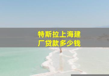 特斯拉上海建厂贷款多少钱