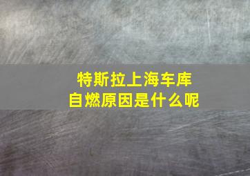 特斯拉上海车库自燃原因是什么呢