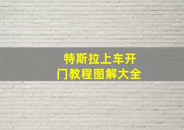 特斯拉上车开门教程图解大全