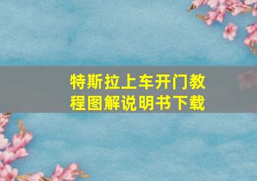 特斯拉上车开门教程图解说明书下载