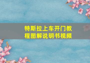 特斯拉上车开门教程图解说明书视频