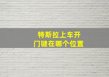 特斯拉上车开门键在哪个位置