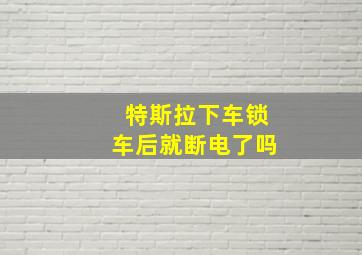 特斯拉下车锁车后就断电了吗