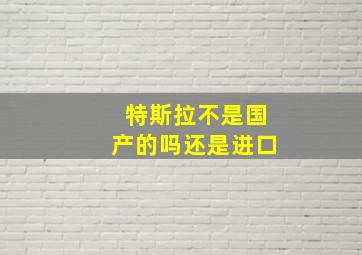 特斯拉不是国产的吗还是进口