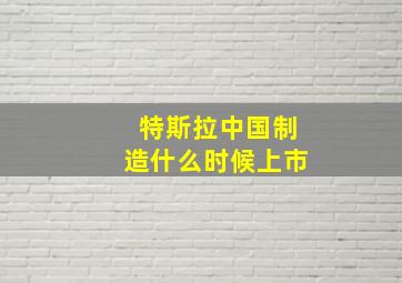 特斯拉中国制造什么时候上市