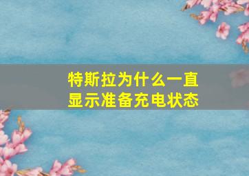 特斯拉为什么一直显示准备充电状态