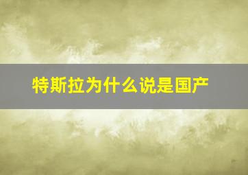 特斯拉为什么说是国产