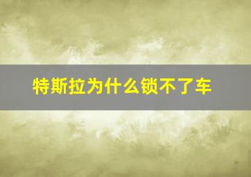 特斯拉为什么锁不了车