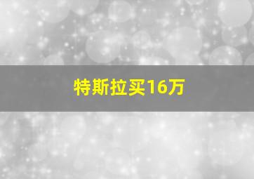 特斯拉买16万