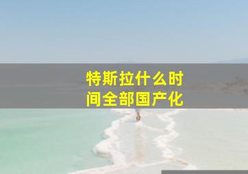 特斯拉什么时间全部国产化