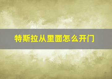 特斯拉从里面怎么开门