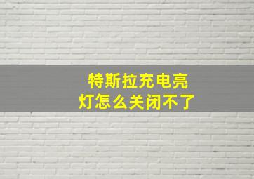 特斯拉充电亮灯怎么关闭不了