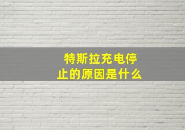 特斯拉充电停止的原因是什么