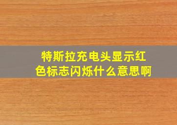 特斯拉充电头显示红色标志闪烁什么意思啊