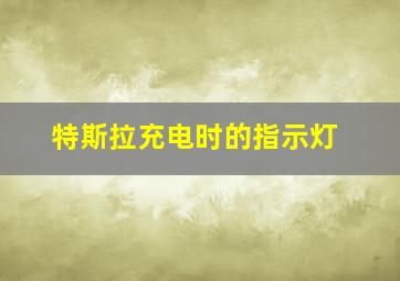 特斯拉充电时的指示灯