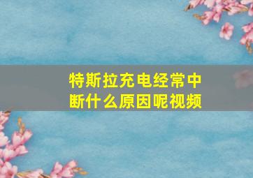 特斯拉充电经常中断什么原因呢视频