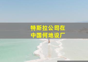 特斯拉公司在中国何地设厂