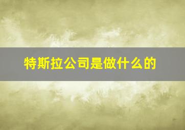 特斯拉公司是做什么的