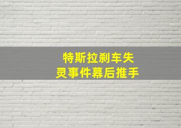 特斯拉刹车失灵事件幕后推手