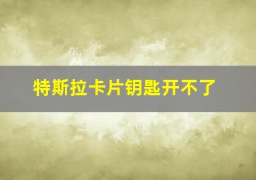 特斯拉卡片钥匙开不了