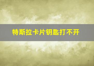 特斯拉卡片钥匙打不开