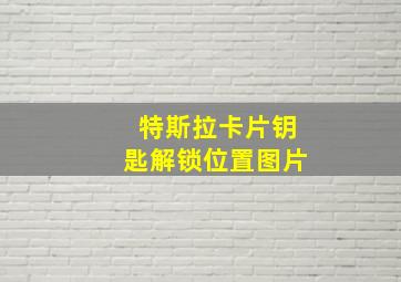 特斯拉卡片钥匙解锁位置图片