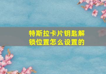 特斯拉卡片钥匙解锁位置怎么设置的