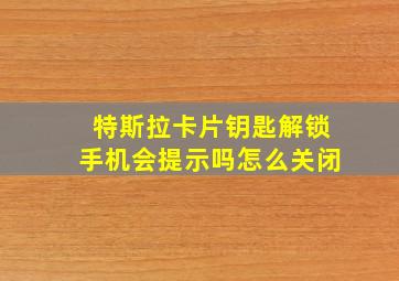 特斯拉卡片钥匙解锁手机会提示吗怎么关闭