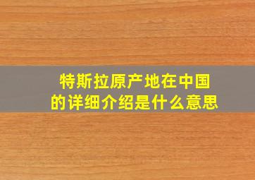 特斯拉原产地在中国的详细介绍是什么意思