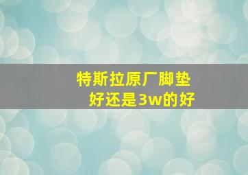 特斯拉原厂脚垫好还是3w的好