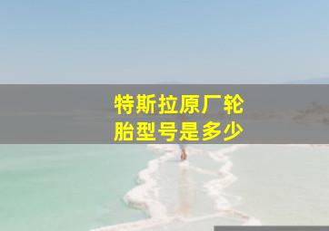 特斯拉原厂轮胎型号是多少