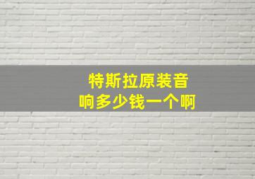 特斯拉原装音响多少钱一个啊