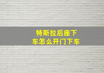 特斯拉后座下车怎么开门下车