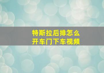 特斯拉后排怎么开车门下车视频