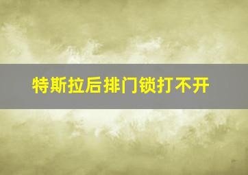 特斯拉后排门锁打不开