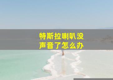 特斯拉喇叭没声音了怎么办