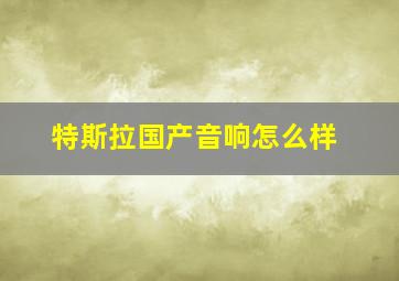 特斯拉国产音响怎么样