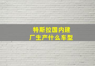 特斯拉国内建厂生产什么车型