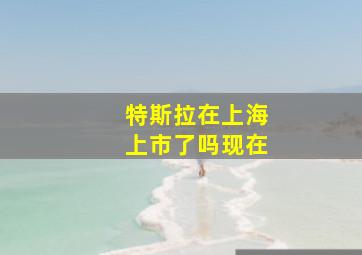 特斯拉在上海上市了吗现在