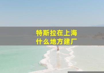 特斯拉在上海什么地方建厂