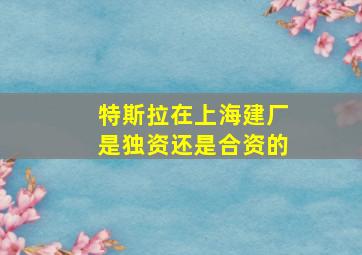 特斯拉在上海建厂是独资还是合资的