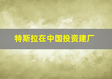 特斯拉在中国投资建厂