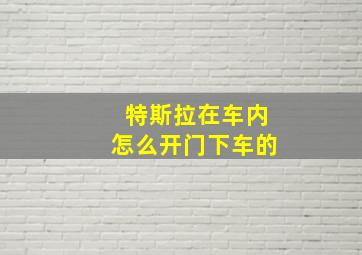 特斯拉在车内怎么开门下车的