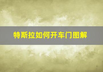 特斯拉如何开车门图解