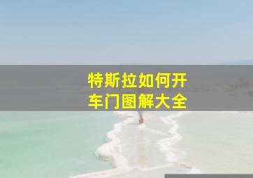 特斯拉如何开车门图解大全