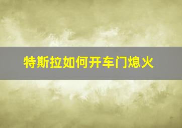 特斯拉如何开车门熄火