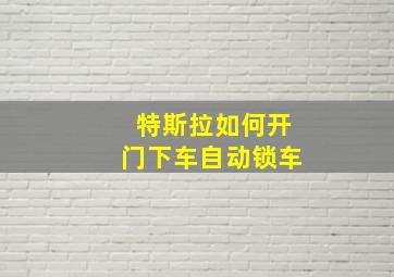 特斯拉如何开门下车自动锁车