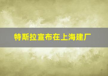 特斯拉宣布在上海建厂