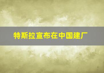 特斯拉宣布在中国建厂